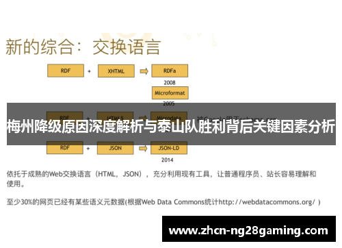 梅州降级原因深度解析与泰山队胜利背后关键因素分析