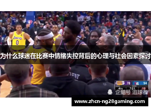 为什么球迷在比赛中情绪失控背后的心理与社会因素探讨