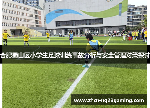 合肥蜀山区小学生足球训练事故分析与安全管理对策探讨