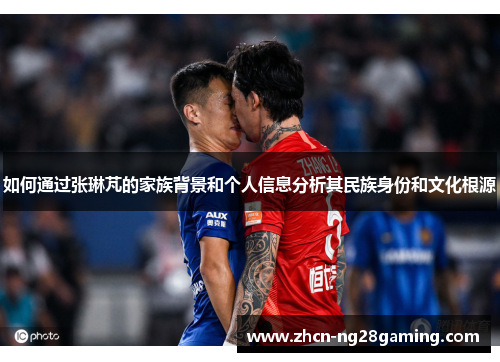 如何通过张琳芃的家族背景和个人信息分析其民族身份和文化根源