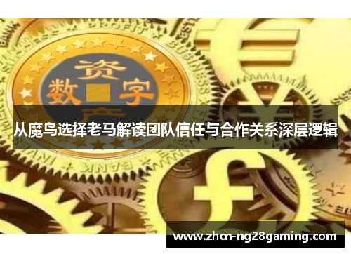从魔鸟选择老马解读团队信任与合作关系深层逻辑