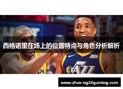 西格诺里在场上的位置特点与角色分析解析