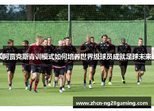 阿贾克斯青训模式如何培养世界级球员成就足球未来