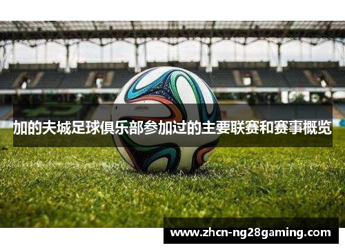 加的夫城足球俱乐部参加过的主要联赛和赛事概览